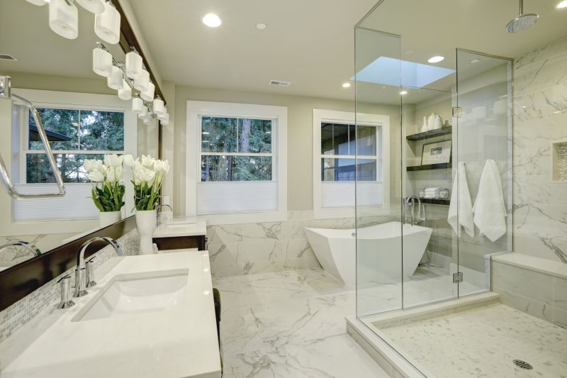 Luxury Master Bathroom Renovation
